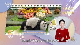 白云精品视频国产专区